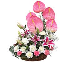 Send Gifts to Mumbai : Get Well Soon Flowers to Mumbai