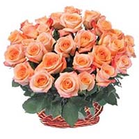 Flowers to Mumbai : Send Flowers to Munbai