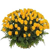 Flowers to Mumbai, Christmas Flowers to Mumbai