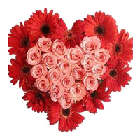 Send 24 Pink Roses 10 Red Gerbera Heart Friendship Day Flowers in Mumbai 