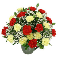 Order Friendship Day Flower Delivery in Mumbai Red Yellow Carnation Vase 24 Flowers in Mumbai 