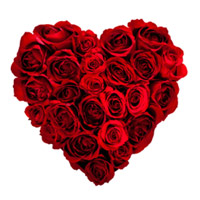 Send Flowers for Friends to Mumbai, Red Roses Heart Arrangement 100 Flowers in Mumbai Online