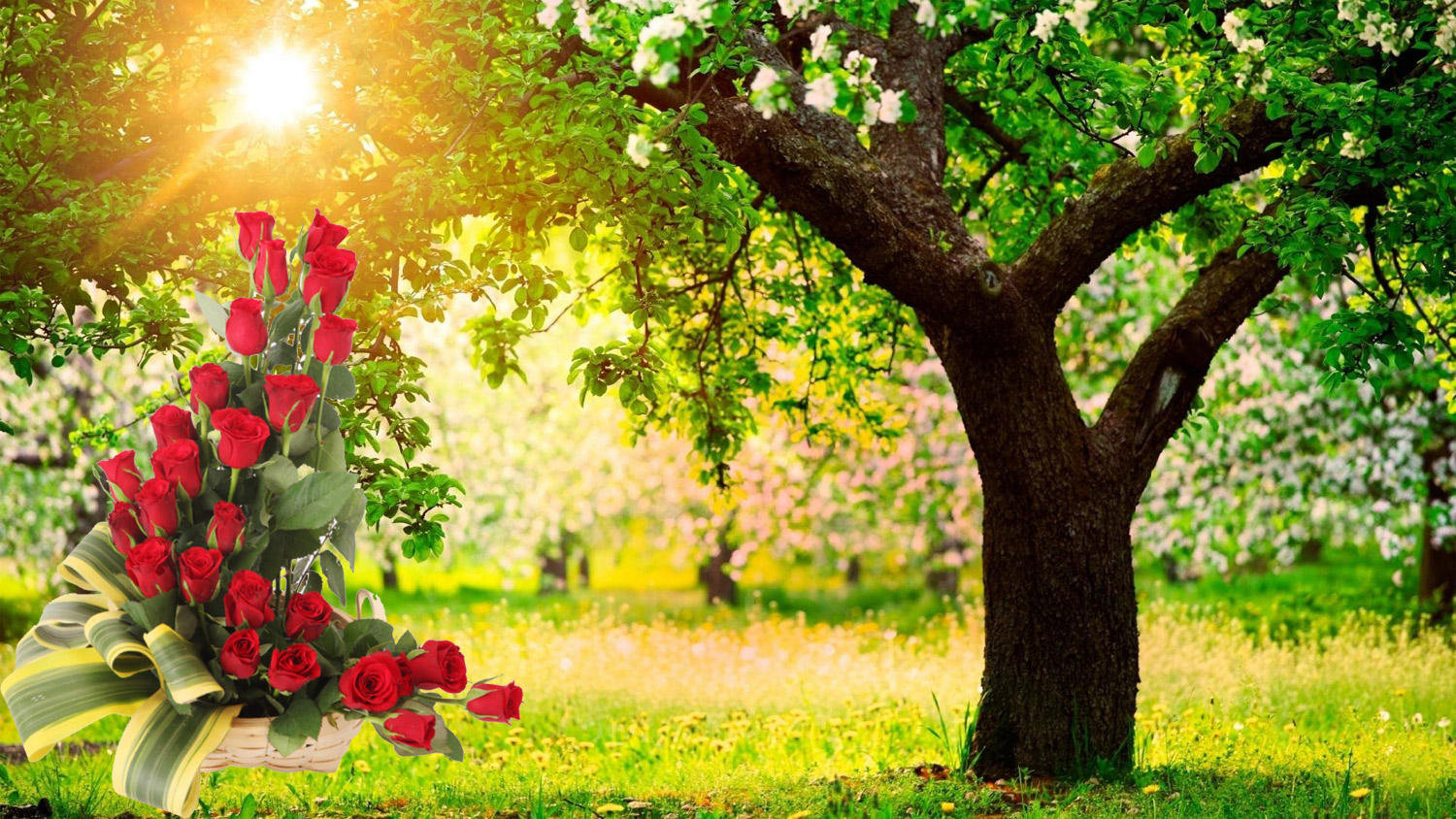 Go With Flower Delivery