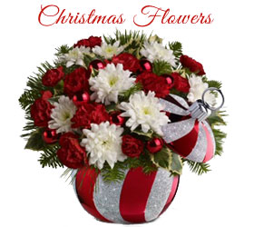 Send Christmas Flowers to Ulhasnagar