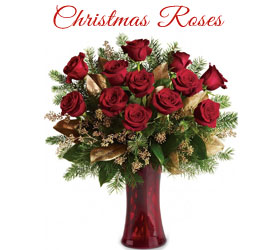 Online Christmas Flowers to Ulhasnagar