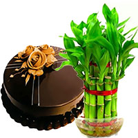 Send Gifts to Mumbai