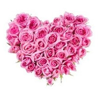 Send Online Flowers to Mumbai : Pink Roses Heart