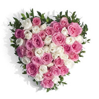 Best Flower delivery Mumbai : Pink White Roses Heart