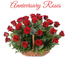 Send Anniversary Flowers to Mumbai