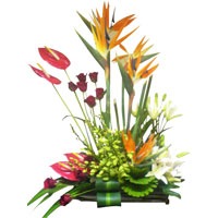 Send Online Flowers to Mumbai