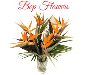 Online Flower Delivery in Mumbai