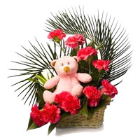 Send Gifts for Friends Red Carnation Small Teddy Basket 12 Flowers to Mumbai for Friendship Day