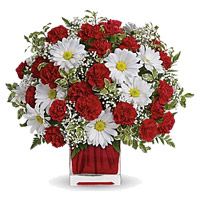 Send Friendship Day Flowers of White Gerbera Red Carnation Vase 24 Flowers to Mumbai