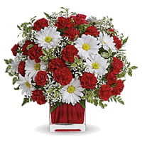 Online flowers to Mumbai 