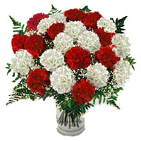Purchase New Year Flowers in Mumbai including Red White Carnation in Vase 24 Flowers to Mumbai