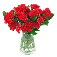 Send Red Carnation Vase 10 Flowers Delivery to Mumbai on Rakhi