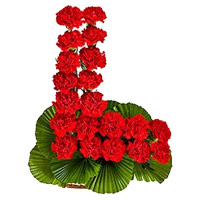 Online New Year Flowers to Mumbai contains Red Carnation Basket of 24 Flowers to Mumbai