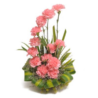 Shop for Pink Carnation Basket of 24 Flowers in Mumbai