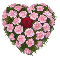 Send Online Flowers to Mumbai