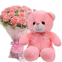 Online 12 Pink Carnation With Small Teddy, Online Gifts to Mumbai