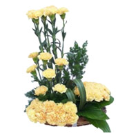 Send Rakhi to Mumbai with 24 Yellow Carnation Arrangement Flowers
