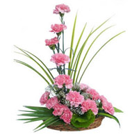 Same Day Rakhi Delivery in Mumbai. 15 Pink Carnation Arrangement