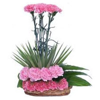 Online Deliver Pink Carnation Arrangement of 20 Flowers in Mumbai on New Year