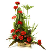 Same Day Flowers Online in Mumbai