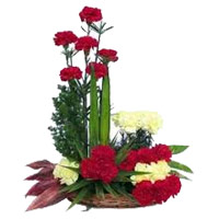 Same Day Delivery of Diwali Flowers to Mumbai. Red Yellow Carnation Arrangement 24 Diwali Flowers Mumbai