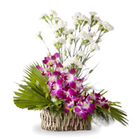 Send Flowers for Friends 10 Orchid 15 White Carnation Flower Basket to Mumbai