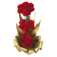 Send Diwali Flowers to Mumbai. 30 Red Carnation Basket of Best Flowers to Mumbai
