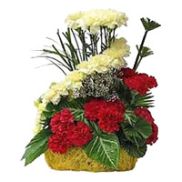 Best Florist in Mumbai