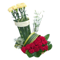 Place Order for Red Yellow Carnation Basket of 20 Flowers in Mumbai on Rakhi