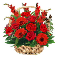 Purchase Online Christmas Flowers to Mumbai contains Red Rose, Carnation, Glad Basket 15 Flowers in Mumbai