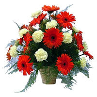 Online New Year Flowers to Mumbai. Red Gerbera White Carnation Basket 24 Flowers in Mumbai