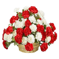 Send Newborn Flowers to Mumbai