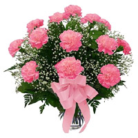 Online Order for Christmas Flowers to Mumbai consist of Pink Carnation 12 Flowers in Vase to Andheri