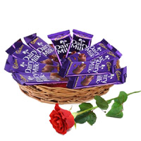 Online New Year Gifts in Mumbai send to 12 Dairy Milk Chocolate Basket With 1 Red Rose Bud to Panvel
