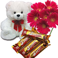 Christmas Gifts in Mumbai sending 6 Red Gerbera, 6 Inch Teddy Bear and 4 Five Star Chocolates to Navi Mumbai