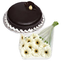 Gift Pack of 12 White Gerbera and 1 Kg Chocolate Truffle Cake and Send Cakes to Mumbai Online for Best Friends