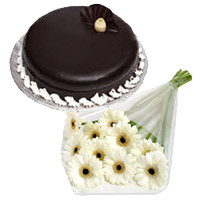 12 White Gerbera, 1 Kg Chocolate Truffle Cakes in Mumbai. Order New Year Cakes Online to Mumbai