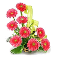 Best Christmas Flowers to Mumbai incorporate with Pink Gerbera Basket 12 Flowers in Pune