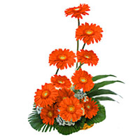 Flower Delivery in Mumbai : Orrange Gerbera Basket