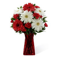 Place Online Order of Red White Gerbera Carnation in Vase 12 Flowers to Mumbai on Rakhi