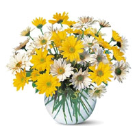 Online Flowers Delivery in Mumbai