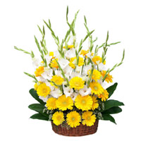 Send Flowers to Mumbai : Gerbera Glad Arrangement