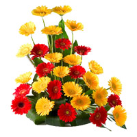 Valentine's Day Flowers to Mumbai : Red Yellow Gerbera