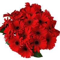 Send Flowers to Mumbai : New Year Flower to Mumbai