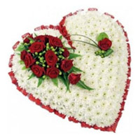 Christmas Flowers Delivery in Mumbai consist of 100 White Gerbera and 10 Red Roses Heart shape Flowers in Akola