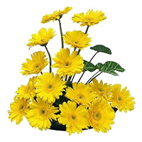 Online Florist in Mumbai